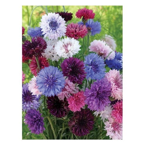 WOODSON LOGO - ROOFTOP - HIGH QUALITY 2014.png