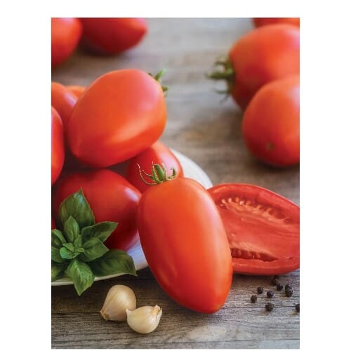 WOODSON LOGO - ROOFTOP - HIGH QUALITY 2014.png