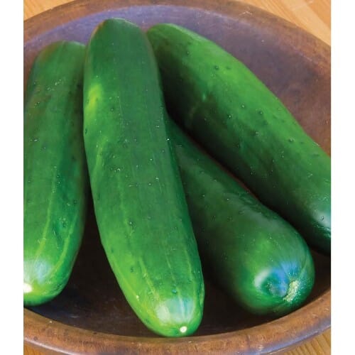 WOODSON LOGO - ROOFTOP - HIGH QUALITY 2014.png