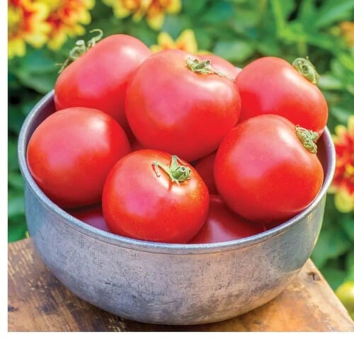 WOODSON LOGO - ROOFTOP - HIGH QUALITY 2014.png