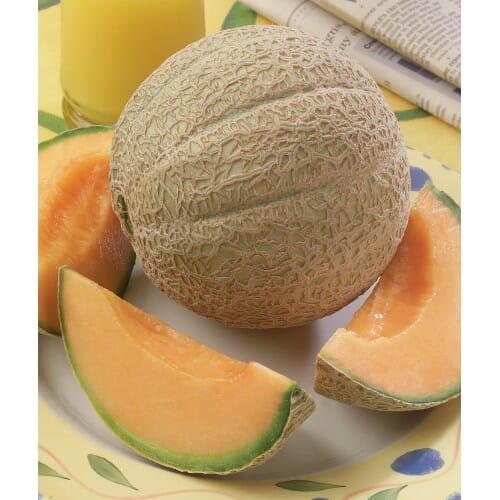 Burpee Hearts of Gold Cantaloupe Seeds - Thumbnail 4