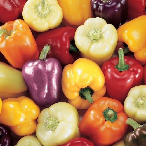 WOODSON LOGO - ROOFTOP - HIGH QUALITY 2014.png