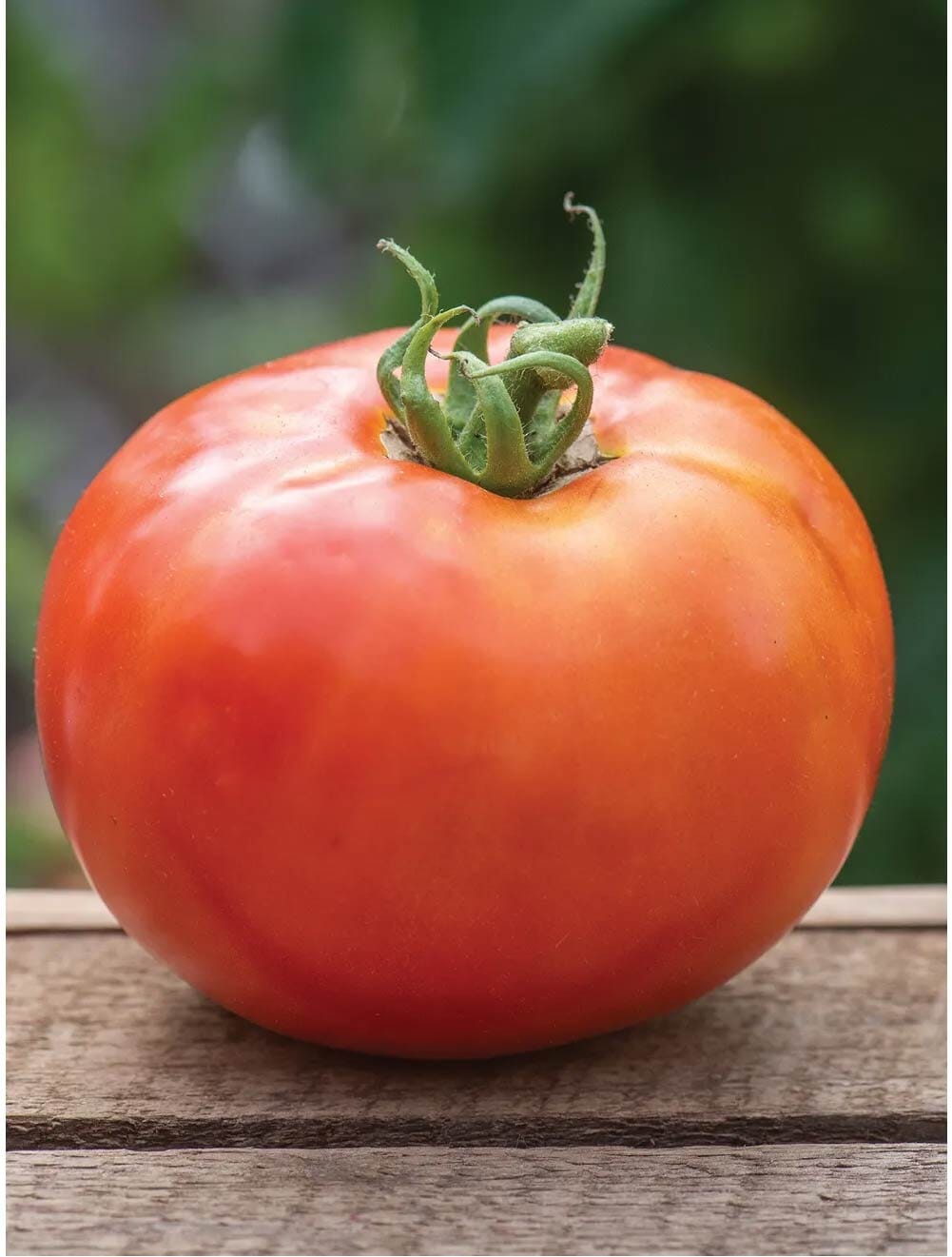 WOODSON LOGO - ROOFTOP - HIGH QUALITY 2014.png