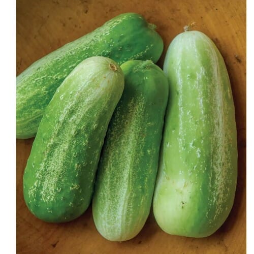 WOODSON LOGO - ROOFTOP - HIGH QUALITY 2014.png