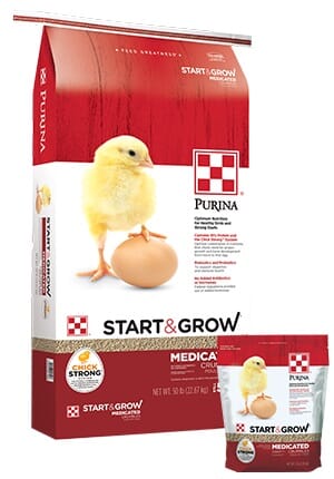 WOODSON LOGO - ROOFTOP - HIGH QUALITY 2014.png