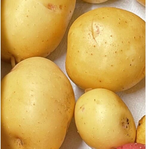 WOODSON LOGO - ROOFTOP - HIGH QUALITY 2014.png