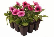 WOODSON LOGO - ROOFTOP - HIGH QUALITY 2014.png